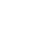 Experienced Professionals